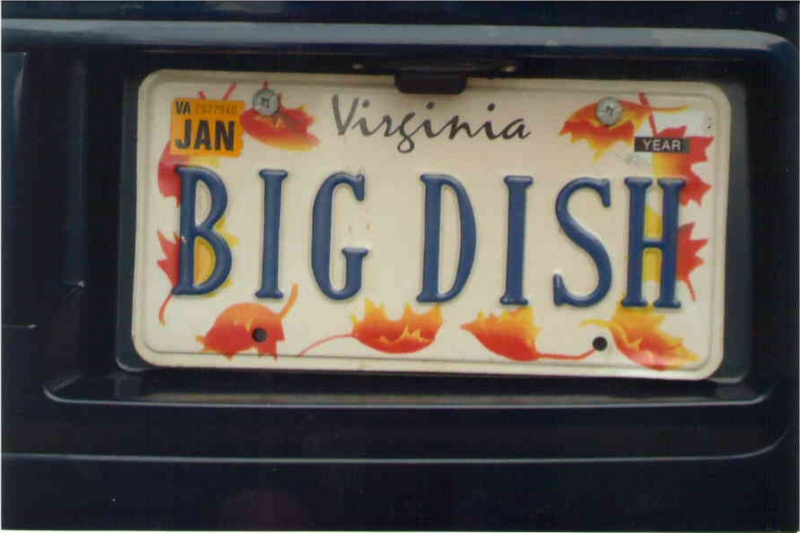 Big Dish License Plate